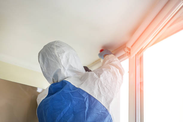 Reliable Elma Center, NY Mold Removal Services Solutions