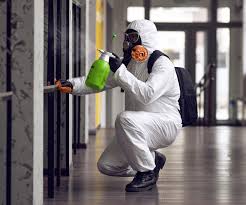 Why You Should Choose Our Mold Remediation Services in Elma Center, NY